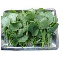 Spinach Leaves dry