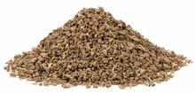 Celery Seed