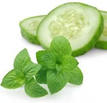 Cucumber Essential Oil