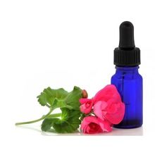 Geranium Oil