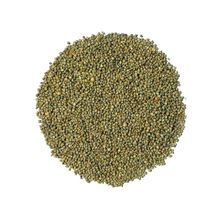 Green Millet