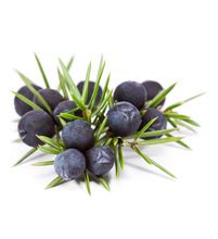 Juniper Berry Essential Oil