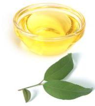 lemon myrtle oil