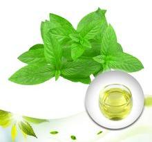 mint essential oil