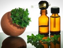 Oregano Essential oil