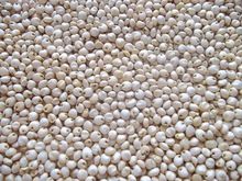 White Millet