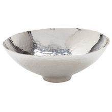 silver bowl