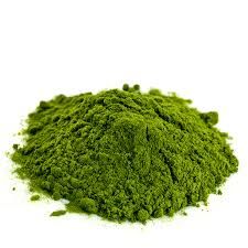 natural wheatgrass powder