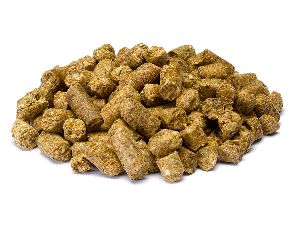 Organic Maize Cattle Feed