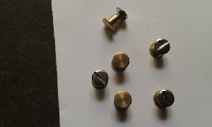 Brass Belt Screw