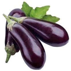 Fresh Brinjal