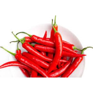 Fresh Red Chilli