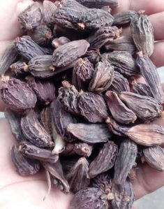 Black Cardamom