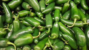 Fresh Jalapeno