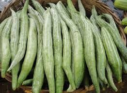 Fresh Snake Gourd