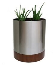 Stainless Steel Plants Planter
