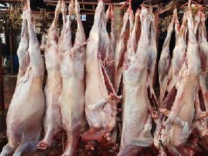 Goat Lungs Offals Manufacturer,Goat Lungs Offals Supplier and Exporter  Ranchi India