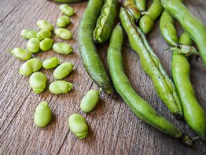 Fresh Broad Beans