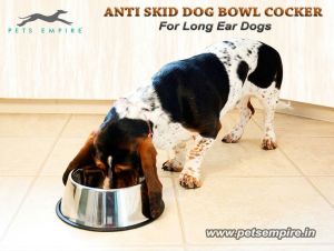 Anti Skid Dog Bowl