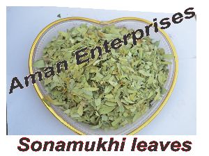 Sonamukhi Leaves