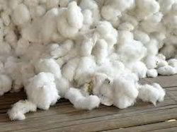 pure raw cotton