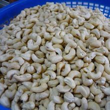 cashew nut