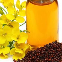 Mustard oil