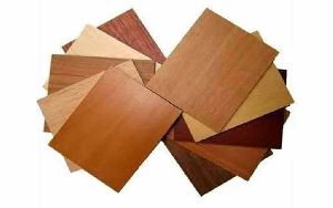 Veneer Plywood