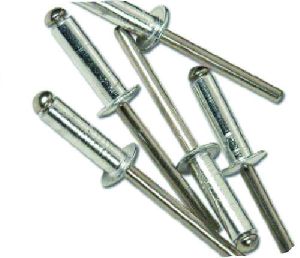 Stainless Steel Rivets