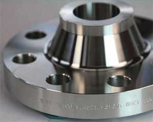 Incoloy Alloy Flanges