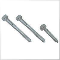 Lag Screw