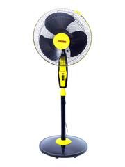 Pedestal Fan