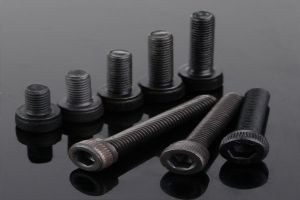 Carbon Steel Fastener