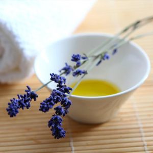 Lavender Oil