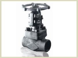 forged gate valves