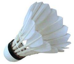 Badminton Shuttlecock