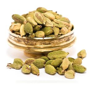 Cardamom