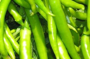 Fresh Green Chilli