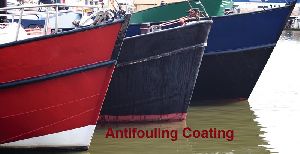 Anti fouling Coating