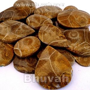 morocco fossil coral Gemstone