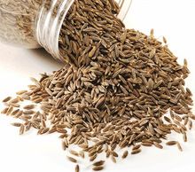 Cumin Seed