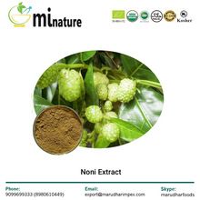 Morinda Citrifolia Extract