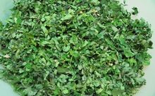 Moringa Dried Leaves