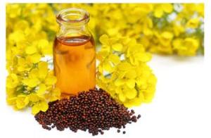 Mustard Carrier Seed Oil