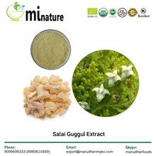 Salai Guggul Extract