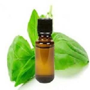 Celery sage Oil