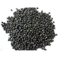 urad bean