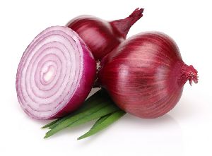 Big Red Onion