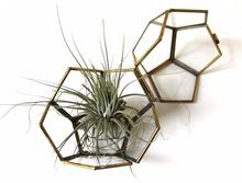 Decorative Glass Box, Storage Box, Hexagon Glass Box