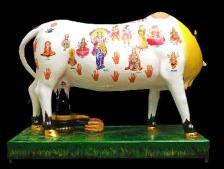 Kamdhenu Cow With Shivling